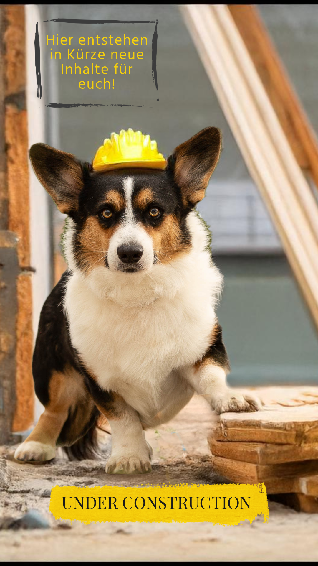 Corgi auf der Baustelle