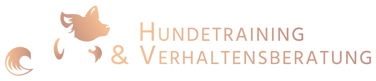 Fuchs Hundetraining und Verhaltensberatung