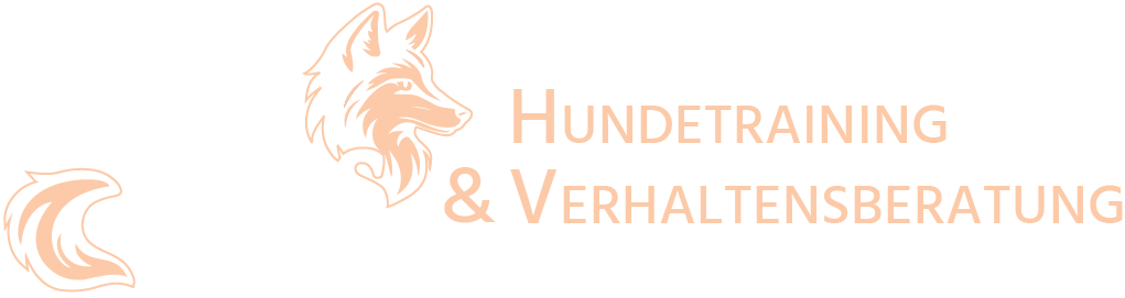 FUCHS Hundetraining
